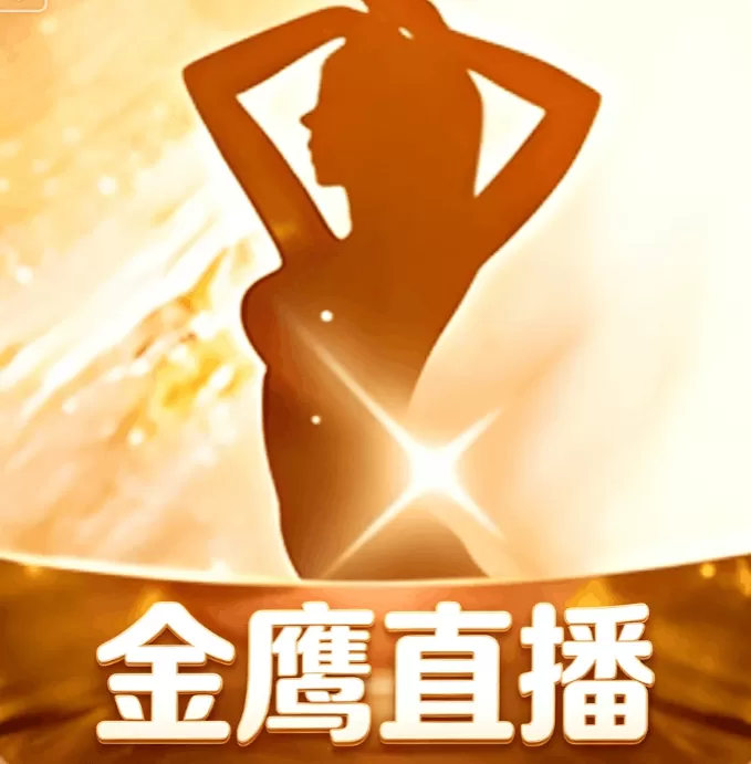 金鹰直播